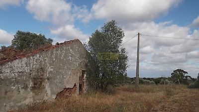 listing-picture-0