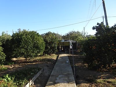 listing-picture-0