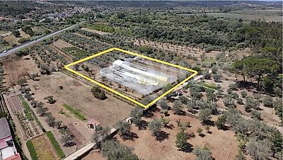 listing-picture-0