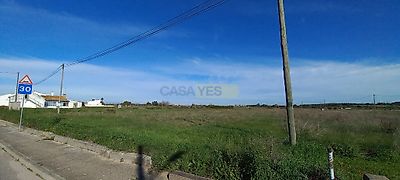listing-picture-0