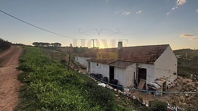 listing-picture-0