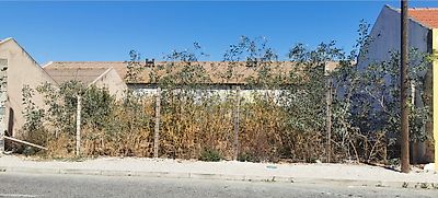 listing-picture-0