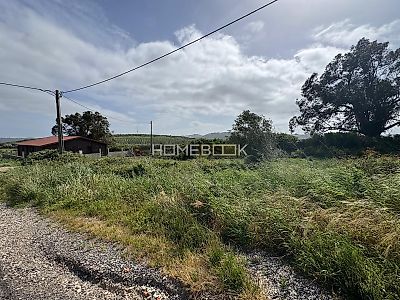 listing-picture-0