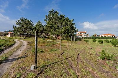 listing-picture-0