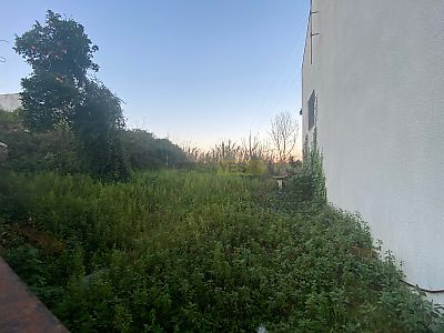 listing-picture-0