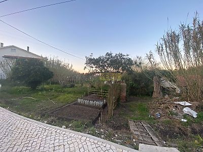 listing-picture-0