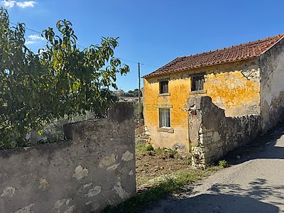 listing-picture-0