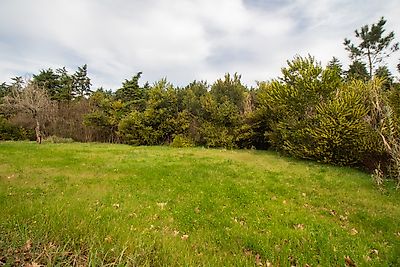 listing-picture-0