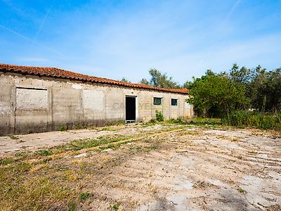 listing-picture-0
