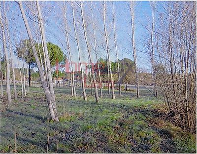 listing-picture-0