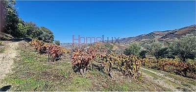 listing-picture-0