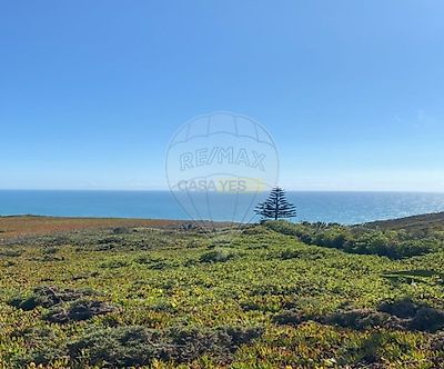 listing-picture-0
