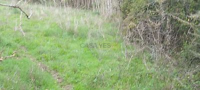 listing-picture-0