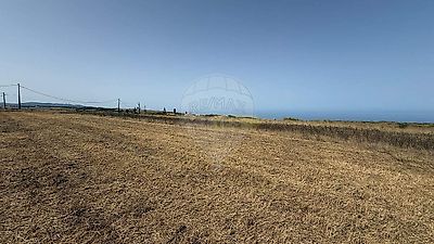 listing-picture-0