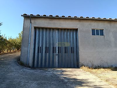listing-picture-0