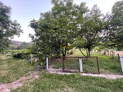 listing-picture-0