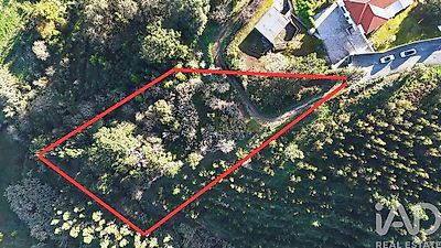 listing-picture-0
