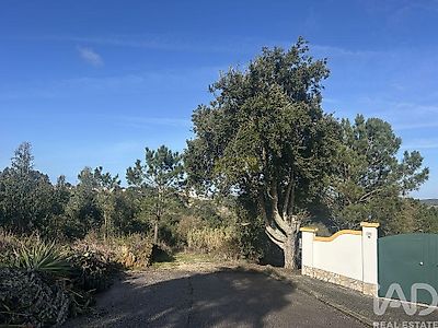 listing-picture-0