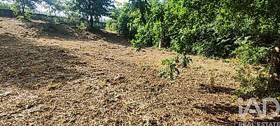 listing-picture-0