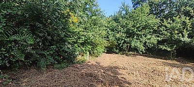 listing-picture-0