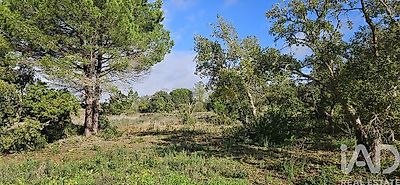 listing-picture-0