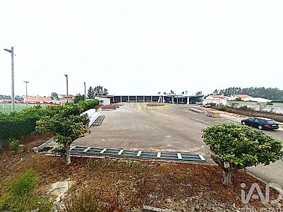 listing-picture-0