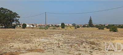listing-picture-0