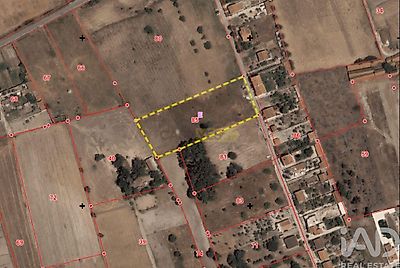 listing-picture-0