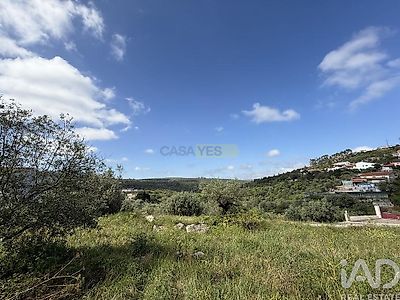 listing-picture-0