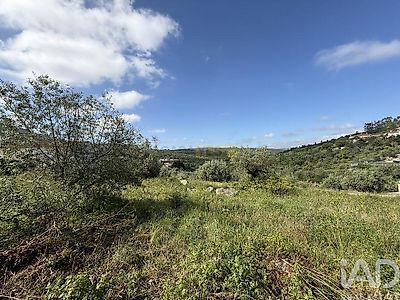 listing-picture-0