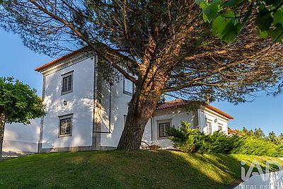 listing-picture-0