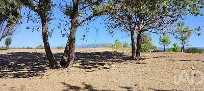 listing-picture-0