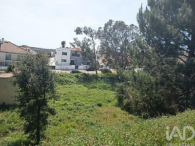 listing-picture-0