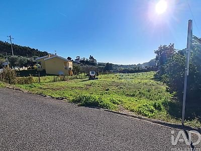listing-picture-0