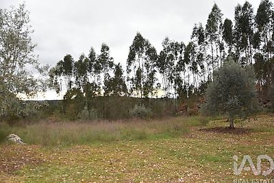 listing-picture-0
