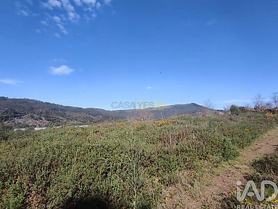 listing-picture-0