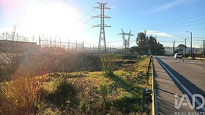 listing-picture-0
