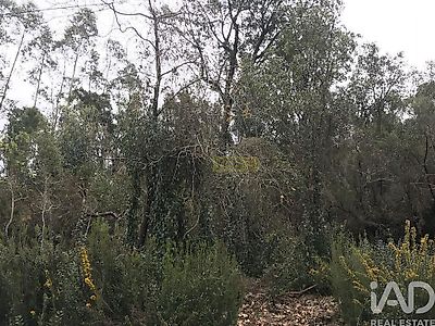 listing-picture-0