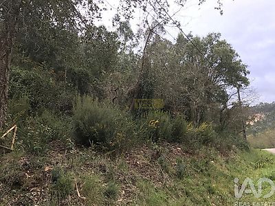listing-picture-0