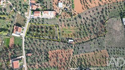 listing-picture-0