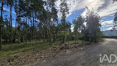 listing-picture-0