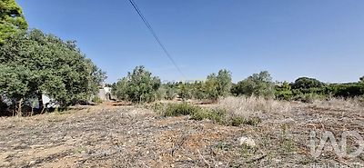 listing-picture-0