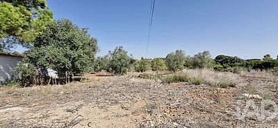 listing-picture-0