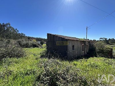 listing-picture-0