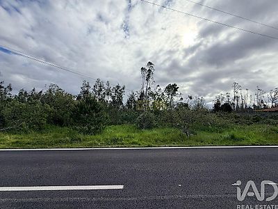 listing-picture-0
