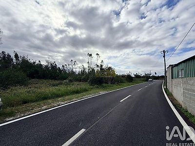 listing-picture-0