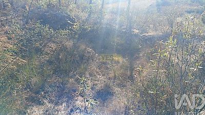 listing-picture-0