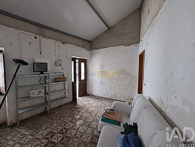 listing-picture-0