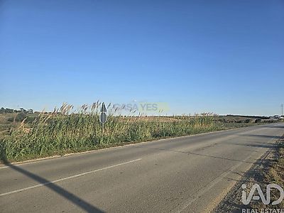 listing-picture-0