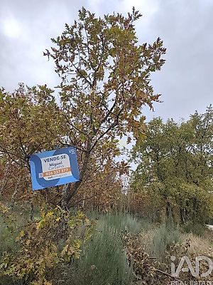 listing-picture-0